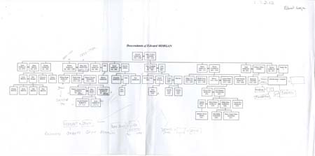 Morgan Family details 